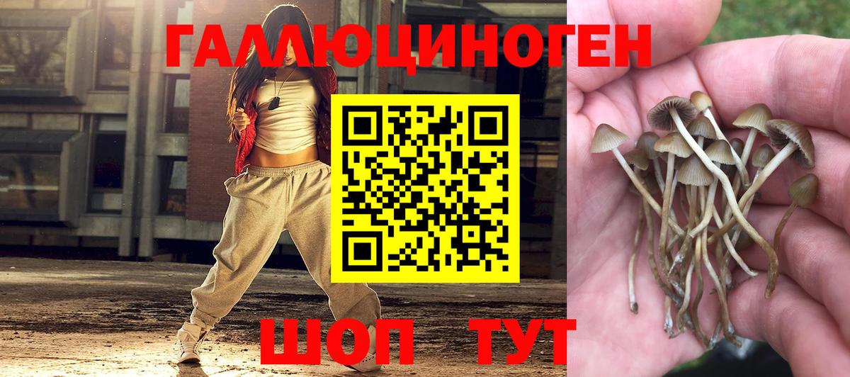 Лесной  Галлюциногенные грибы Magic Shrooms  Вход с VPN 