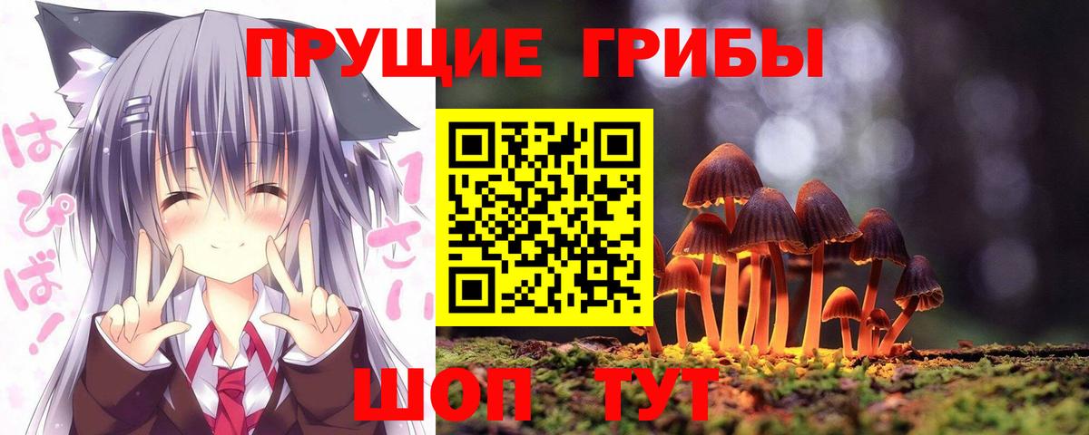 Псилоцибиновые грибы Psilocybine cubensis Лесной