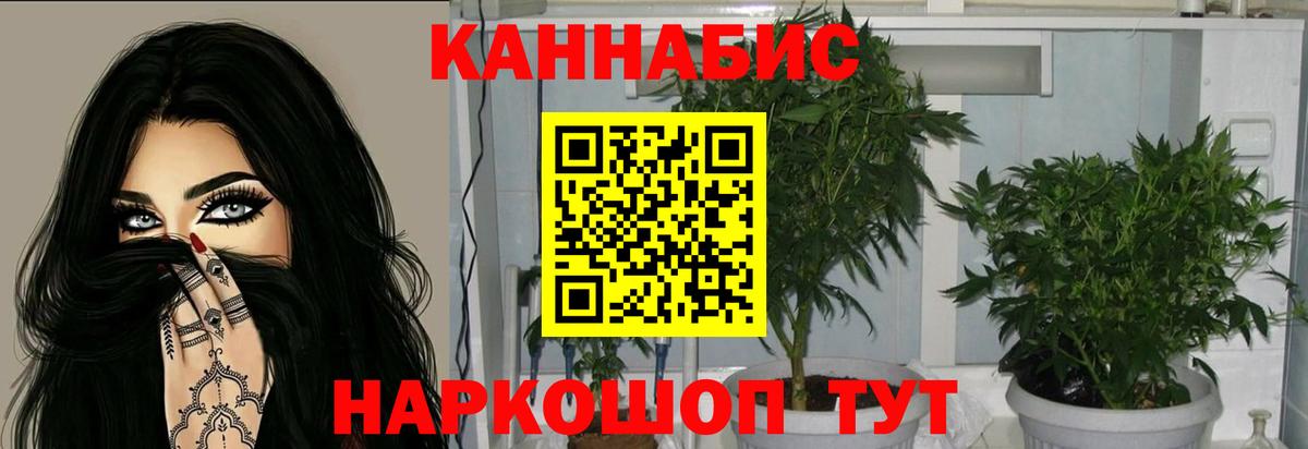 Каннабис VHQ  Марихуана Ganja  Каннабис план  Лесной  МАРИХУАНА марихуана  Вход с VPN 